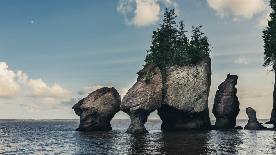 A group of rock formations in the water.