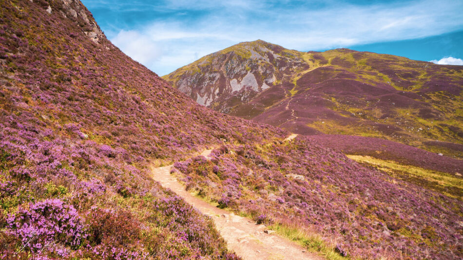 cairngorms national park