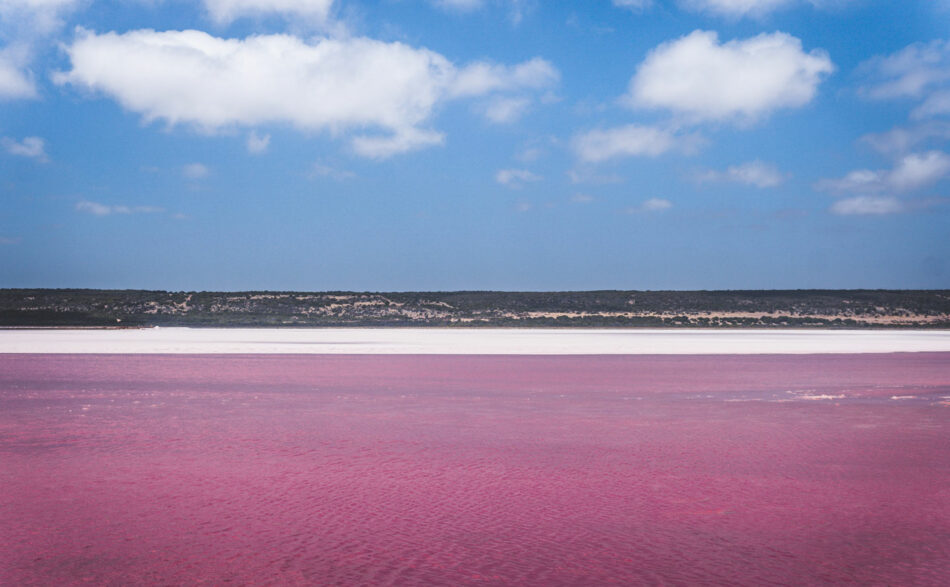 pink lake western australia