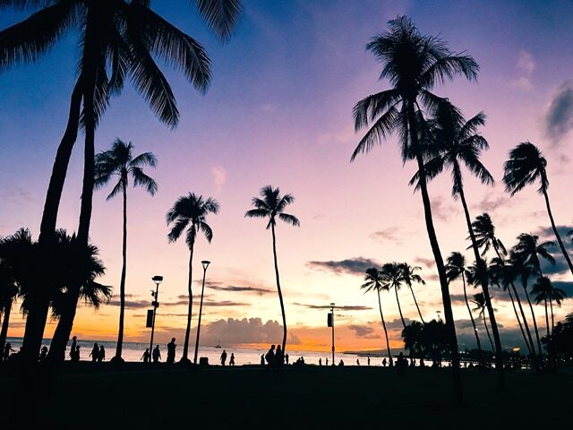 Silhouette of palm trees at sunset in Honolulu, Hawaii, perfect for a romantic getaway.