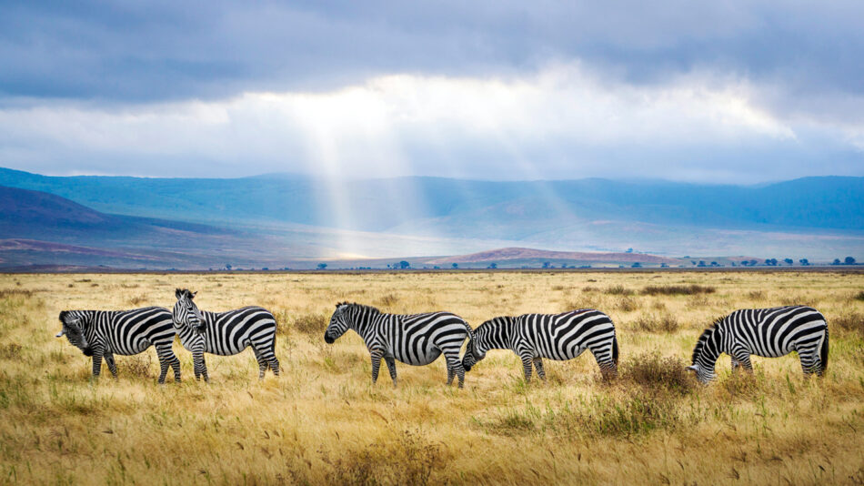 ngorongoro crater