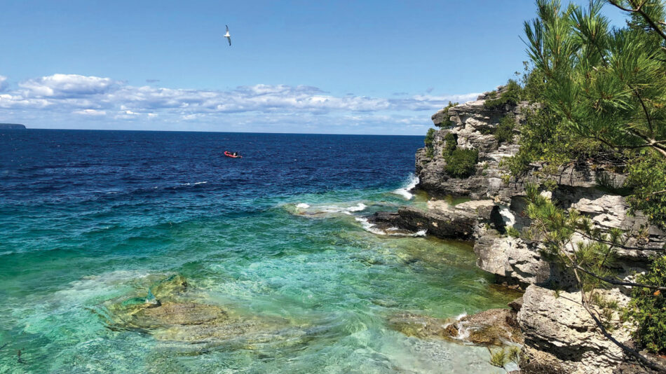 bruce trail