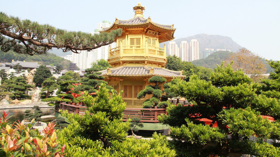 Visiting Hong Kong and looking for things to do? Don't miss the spectacular sight of a golden pagoda nestled among lush trees. It's a must-see attraction that showcases Hong Kong's rich