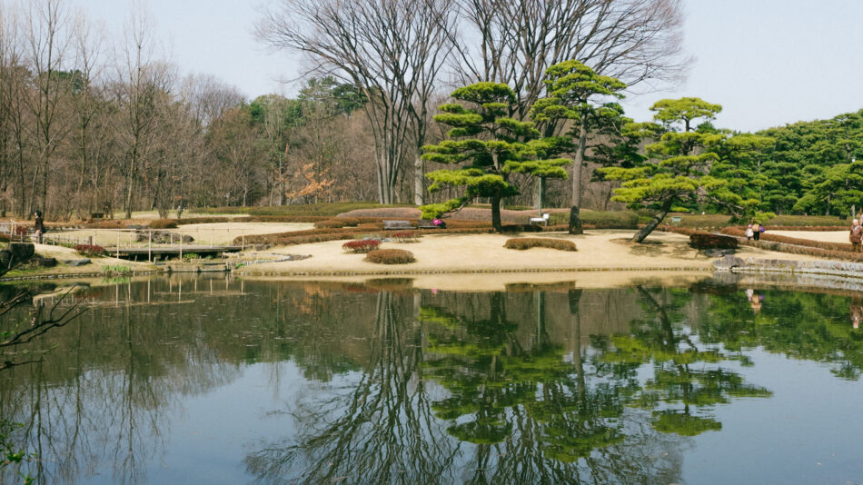 Tokyo's serene Japanese garden gracefully embodies the tranquility and beauty for which Japan is renowned.