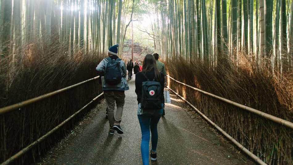 japan-forest