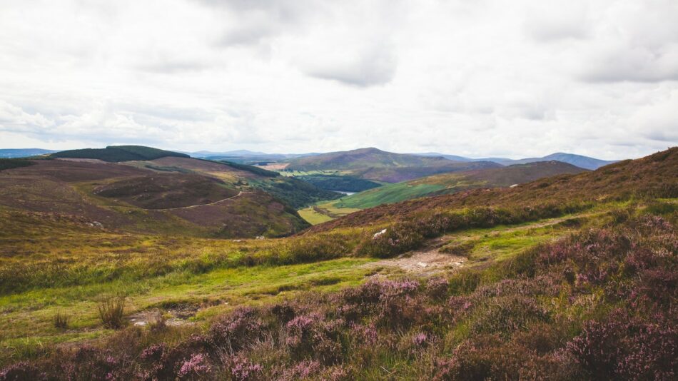 Wicklow, Ireland