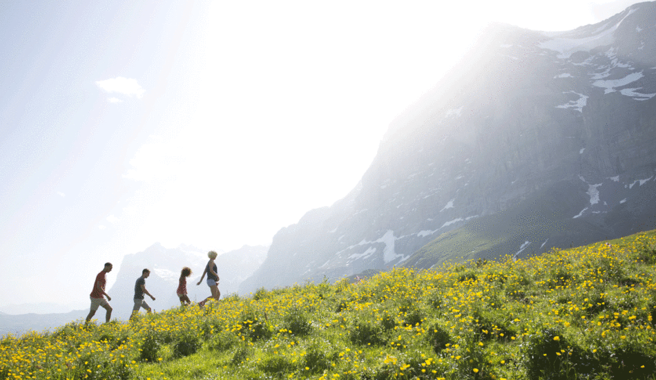 landscape-walking