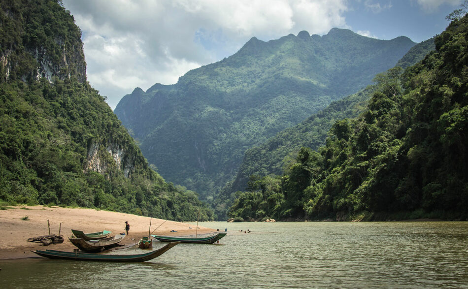 laos tree alliance