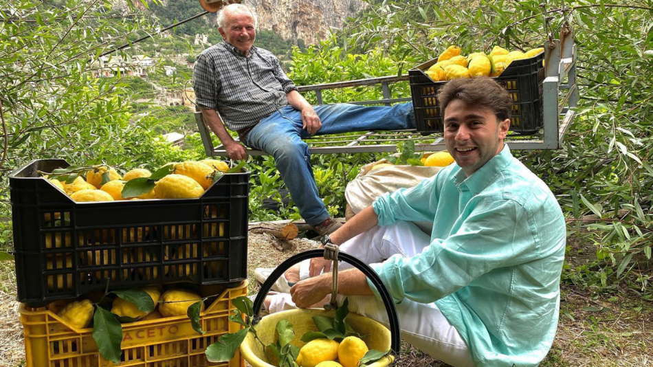 Amalfi Lemon Experience - lemon farm