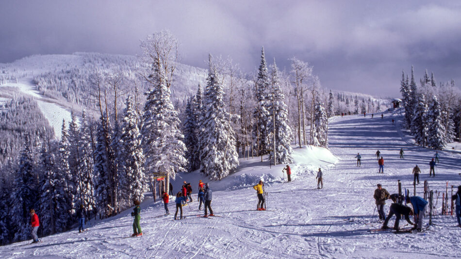 skiing in the alps