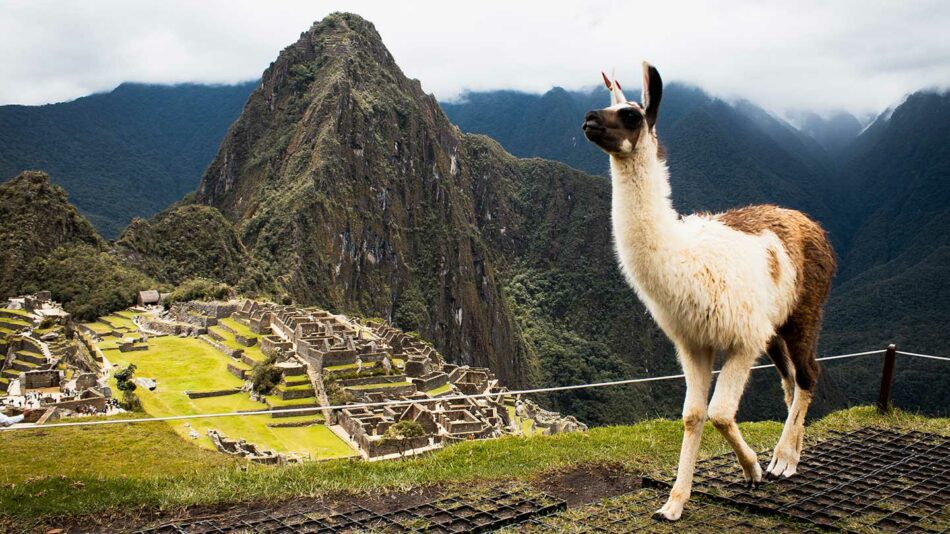 machu picchu, peru