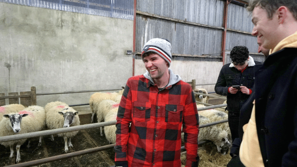 A man is standing next to cairde in a pen.