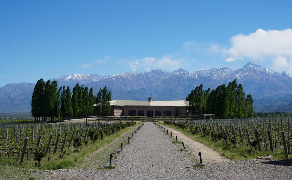 Mendoza Wine Region in Argentina