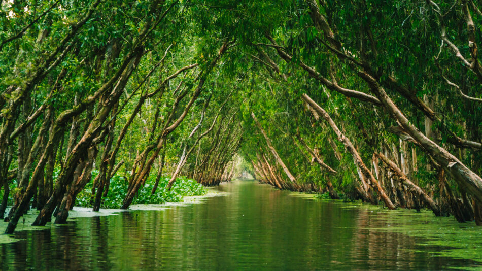 A canal lined with trees and water.