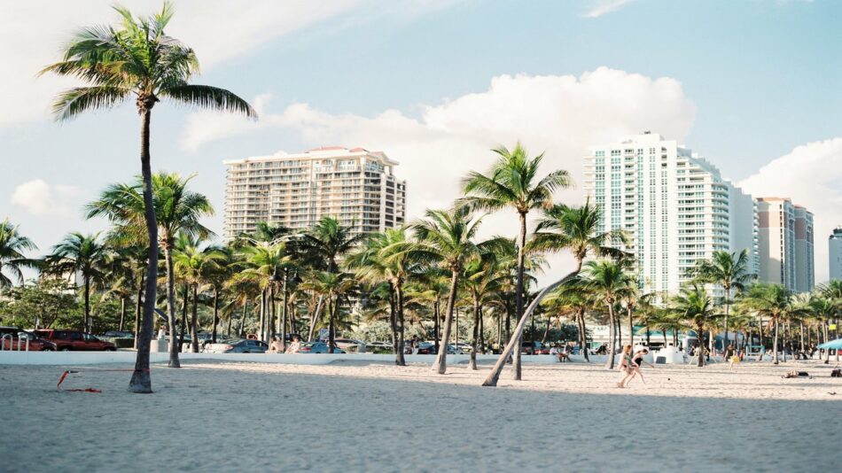 A beach with palm trees and buildings in the background.