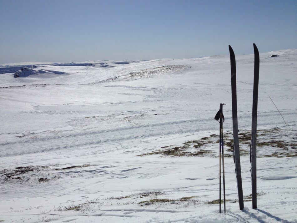 Two ski poles in the snow, showcasing happiness.