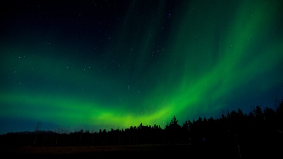 One of the best places to visit in Canada is a forest where an aurora bore shines in the sky.