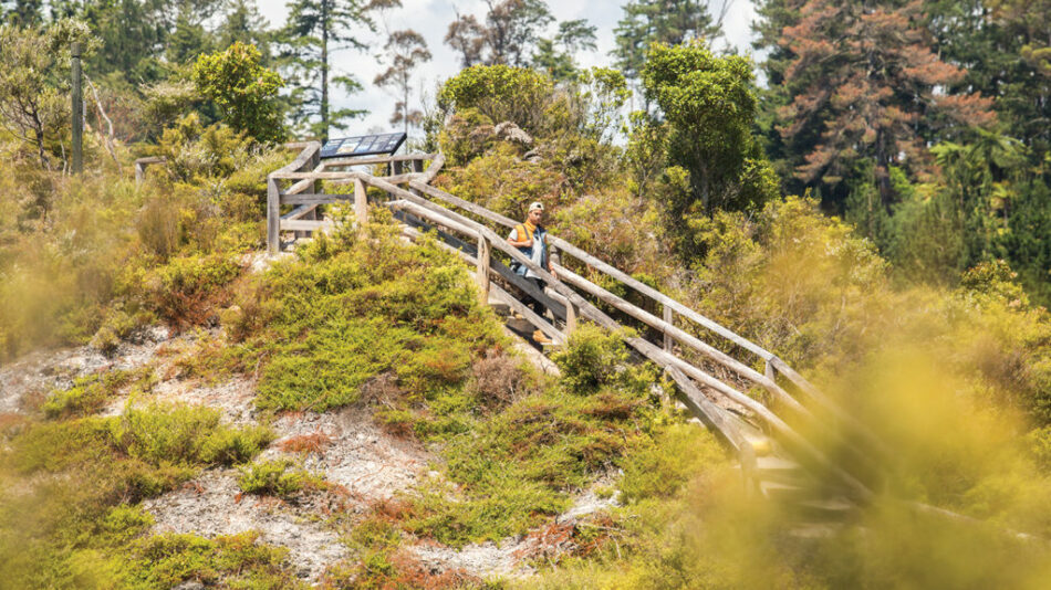 A Contiki Trip Manager is guiding a person up a wooden boardwalk on a hill.