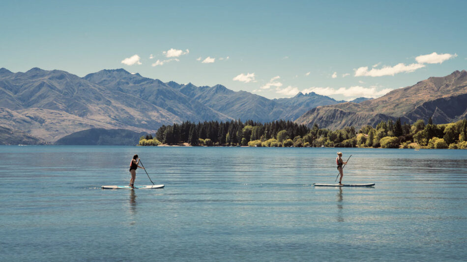 new zealand wellness