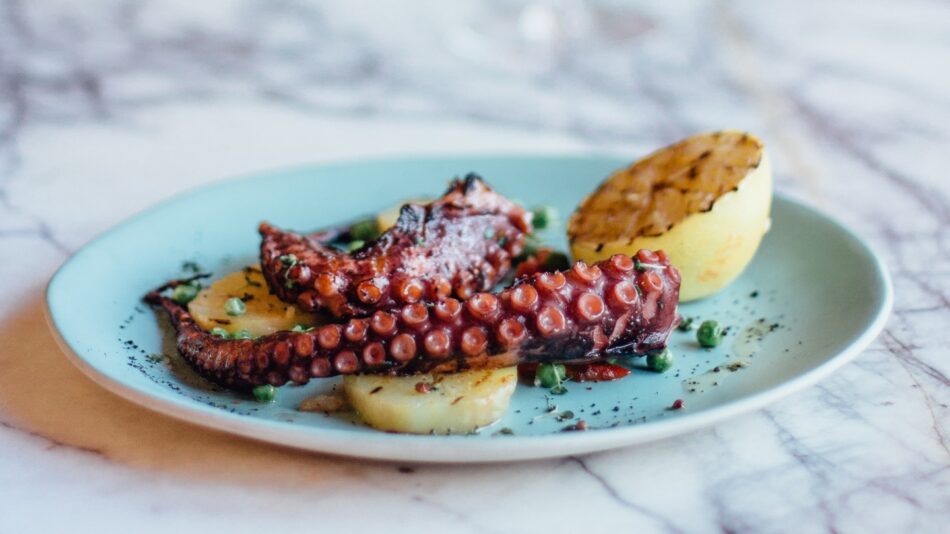 seafood octopus