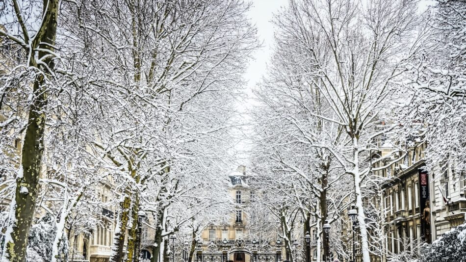 Paris skating