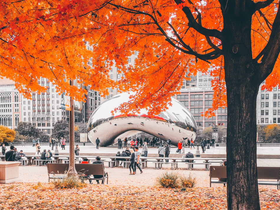 Chicago fall