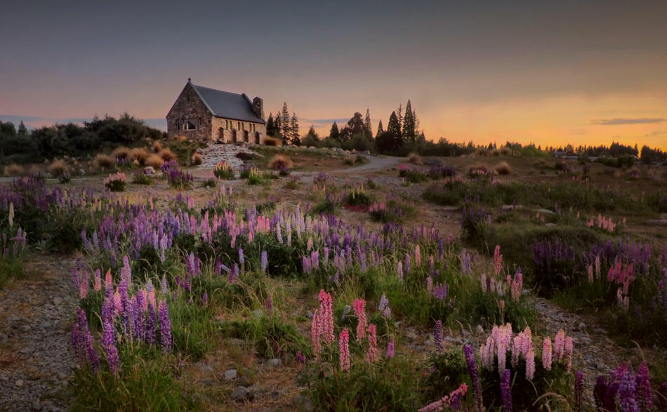 lake tekapo new zealand