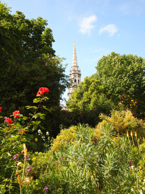 Phoenix Garden in Covent Garden