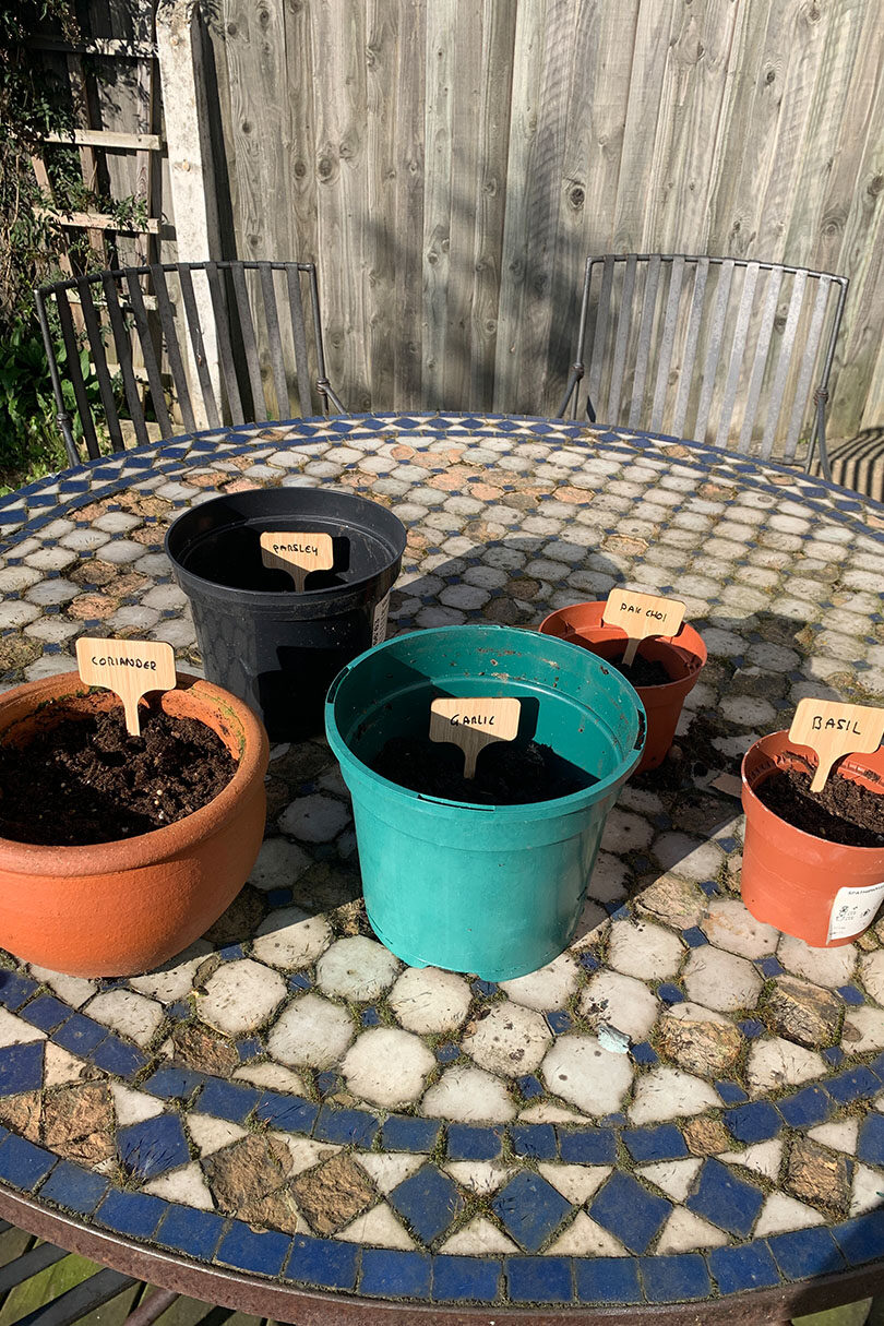 Four pots of soil on a table in a garden.