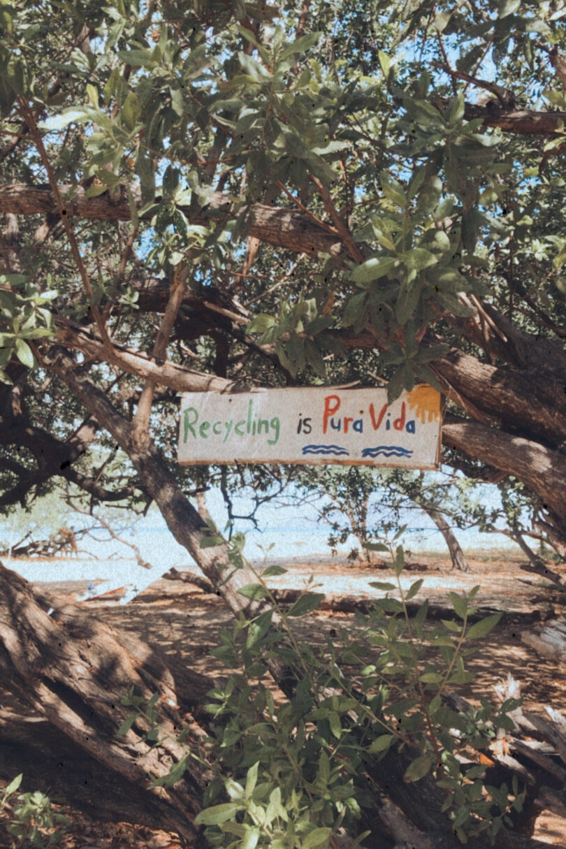 A sign hanging from a tree.