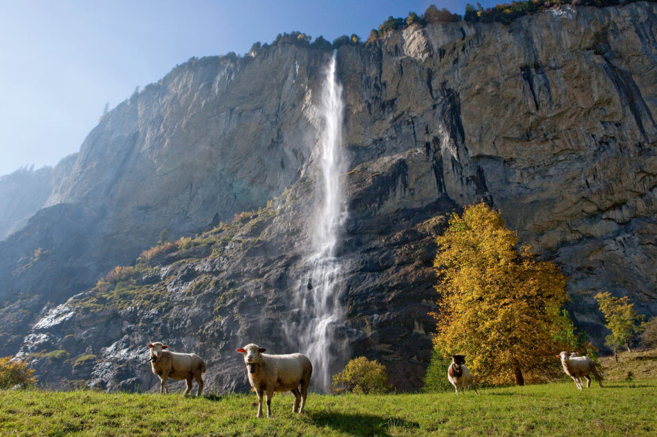 A majestic waterfall on a rocky cliff in Switzerland.