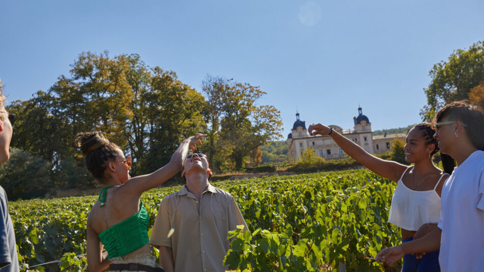 Contiki travellers in vineyards