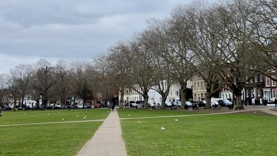 A grassy park with trees and buildings in the background, possibly a ted lasso filming location.