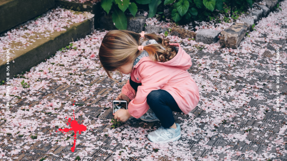 girl gathering cherry blossoms in japan