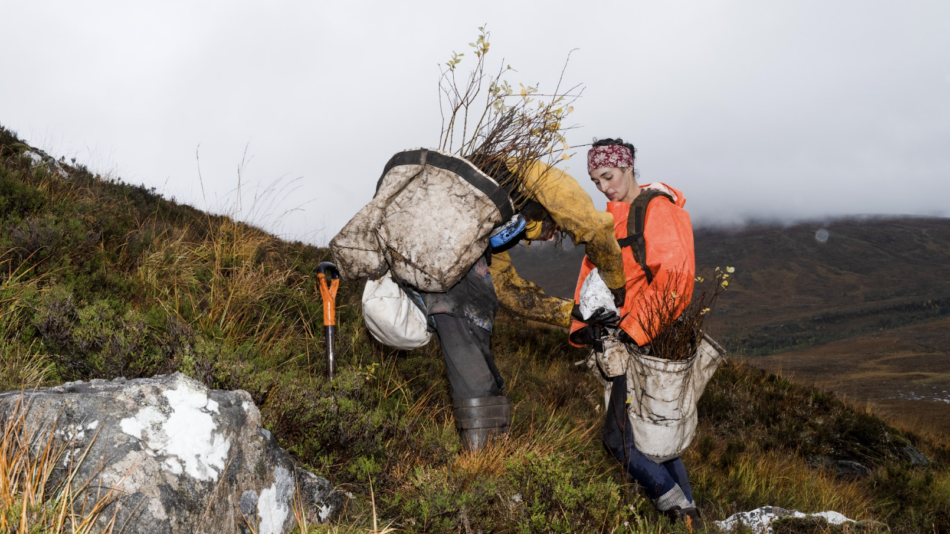 Team at Trees for Life Rewilding pine woods