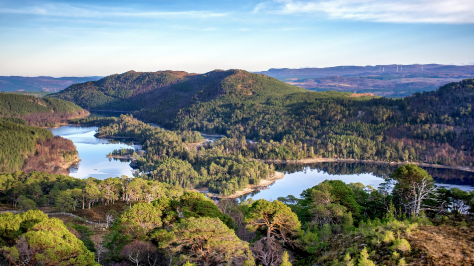 Glen Affric in the Scottish Highlands