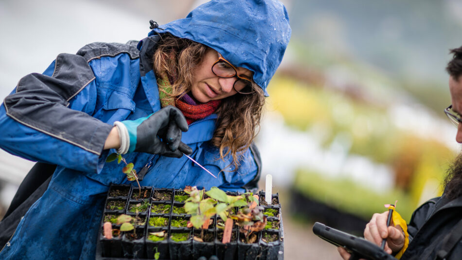 Trees for Life rewilding centre in Scottish highlands