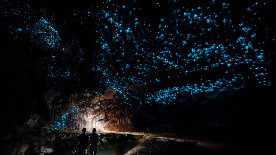 couple standing in glow worm cave in New Zealand