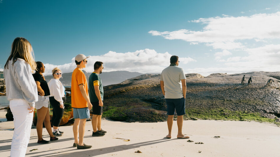 group of travellers on boulders beach