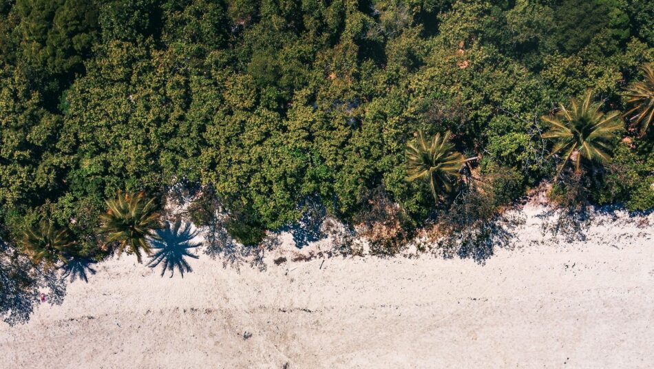 Aerial beach view of Daintree Rainforest