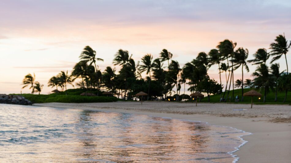 beach in Hawaii