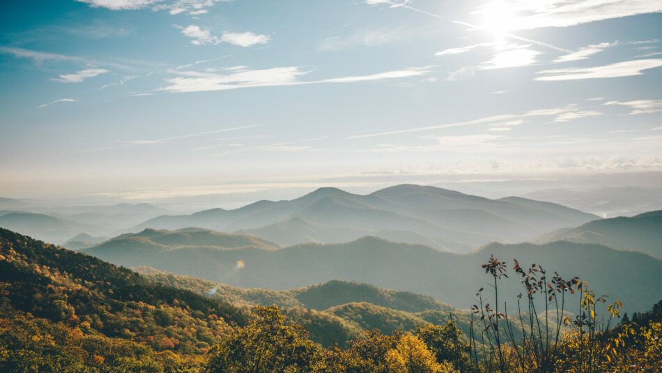 North Carolina forests, USA