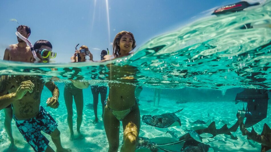 Contiki travellers snorkeling