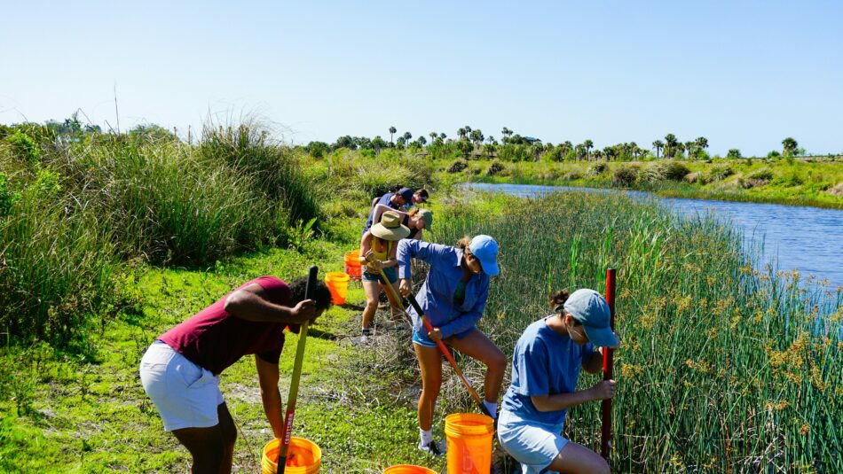 nature clean up volunteering