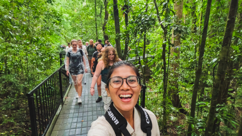 daintree rainforest, Australia