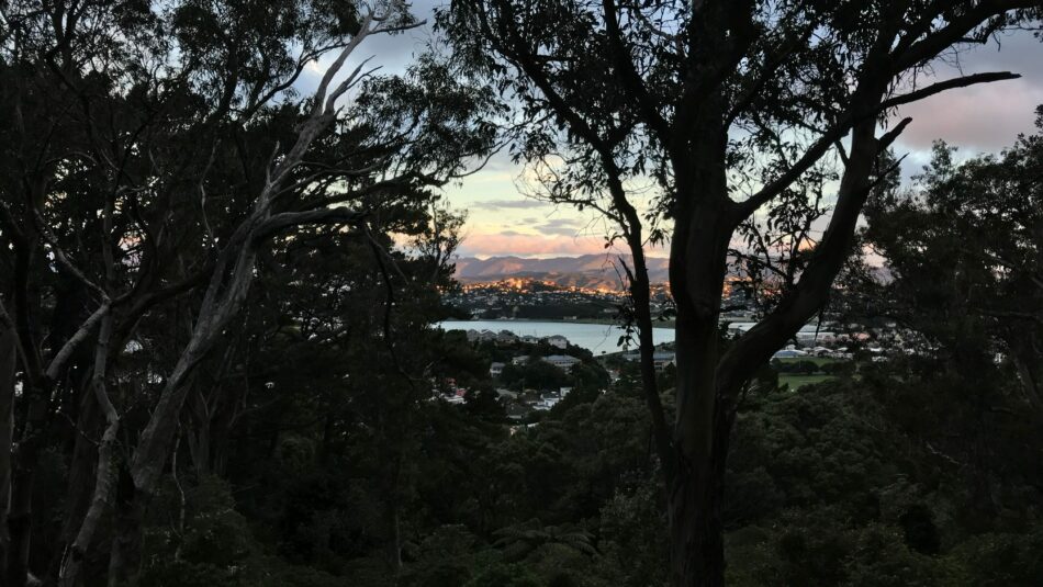 New Zealand north island