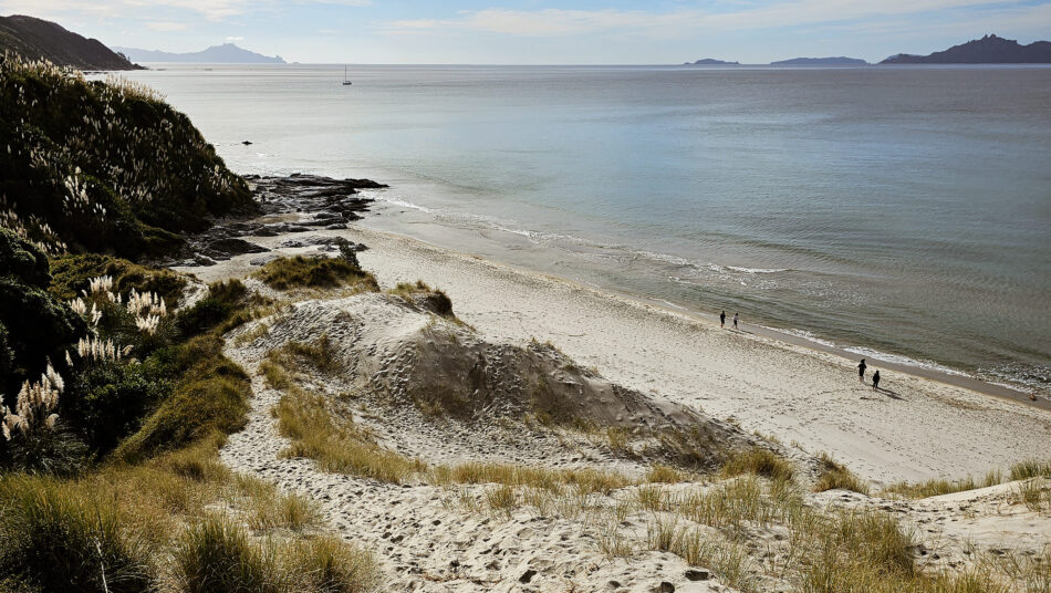 beautiful beach in New Zealand with white sands