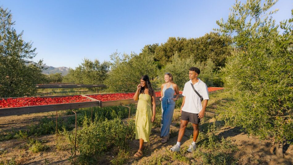 travellers in Albania on farm