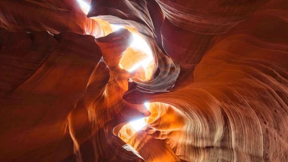 red rocks in Zion National Park