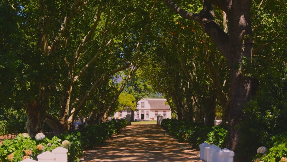 Babylonstoren, Franschhoek vineyard in South Africa